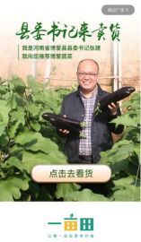 博愛縣委書記一畝田直播首秀，為家鄉蔬菜傾情代言