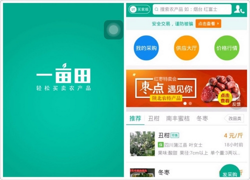 一畝田重構 深耕數字農業，重塑網絡生態新篇章